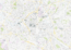 Birmingham City Map preview 1 preview